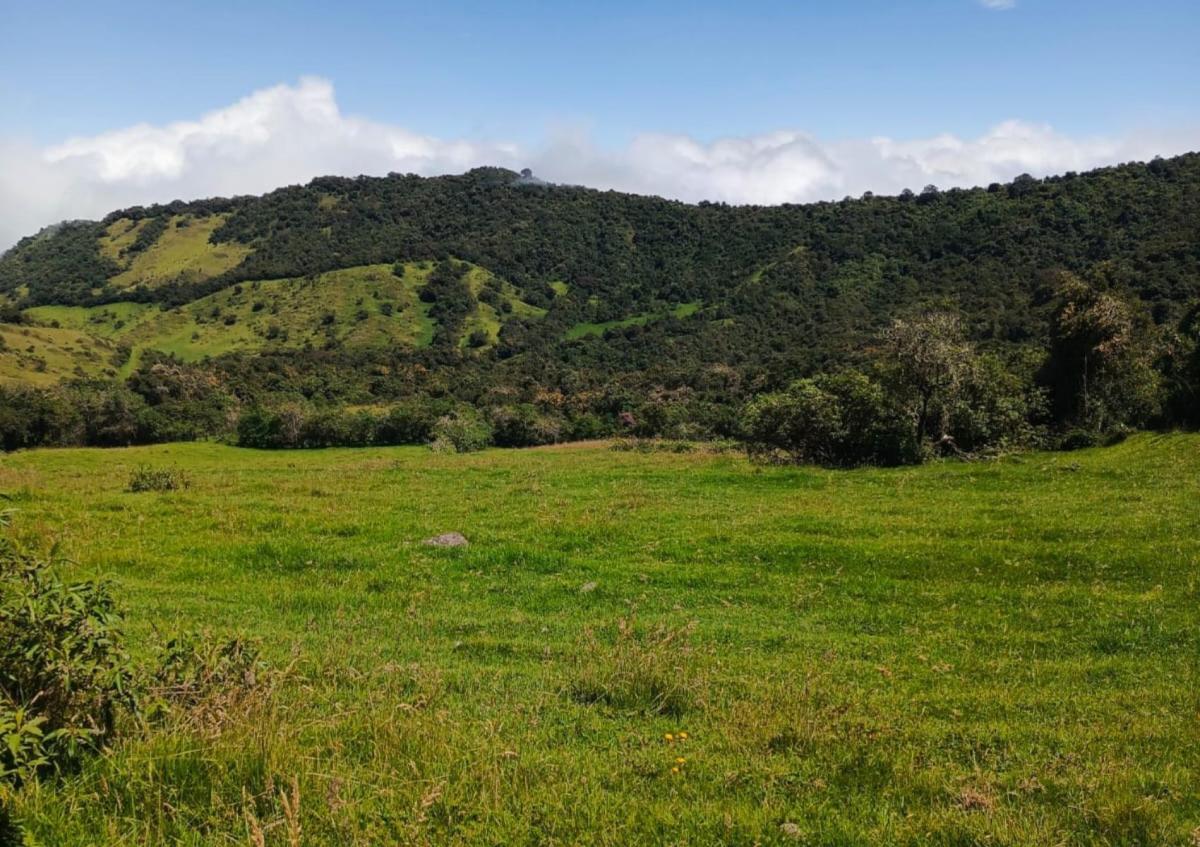 Lotes Urbanizados en Venta - Quito — imagen 6