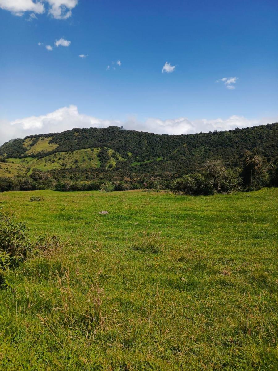 Lotes Urbanizados en Venta - Quito — imagen 2