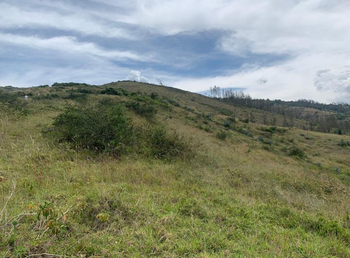 Vendo Terreno Chiviqui Alto Tumbaco — imagen 8