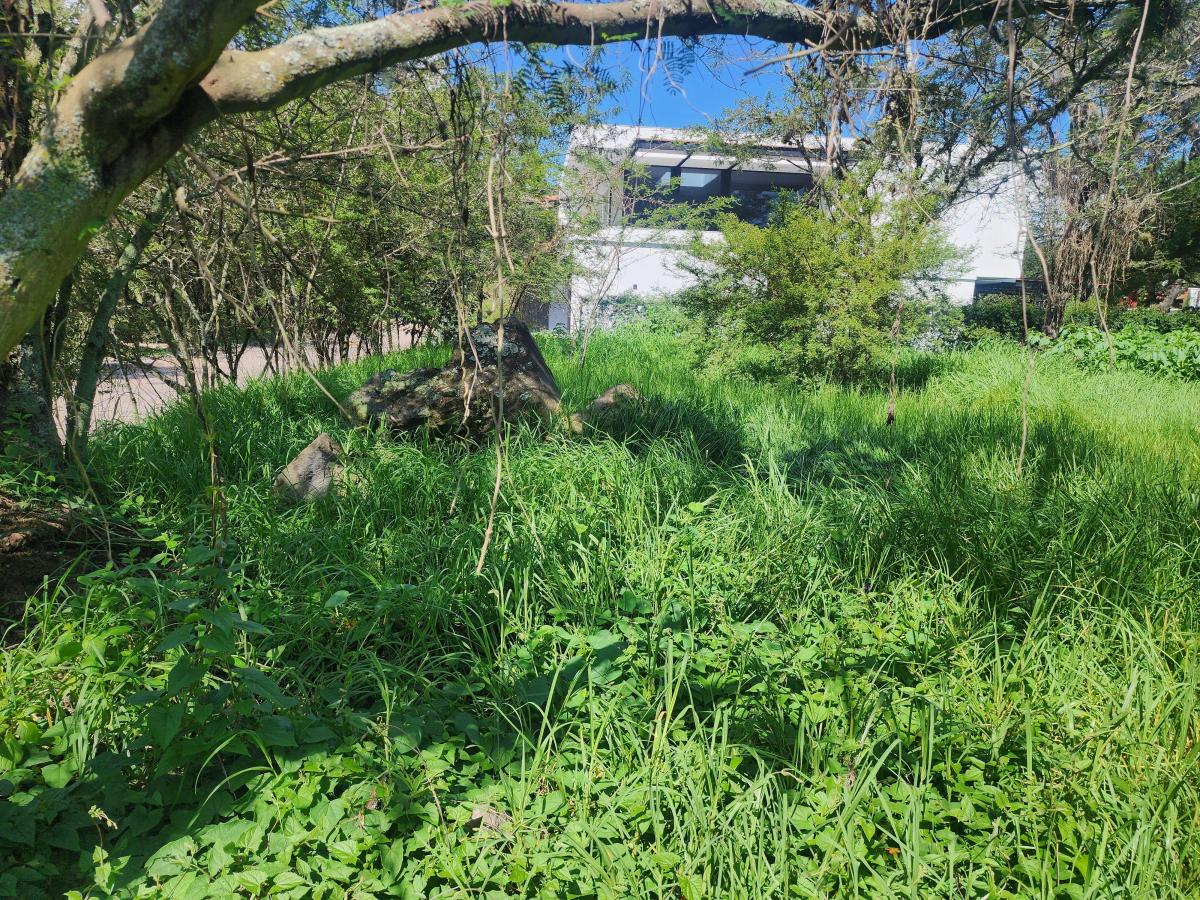 Vendo Bonito Terreno de 1000 m en Prados de La Viña Cumbaya — imagen 9