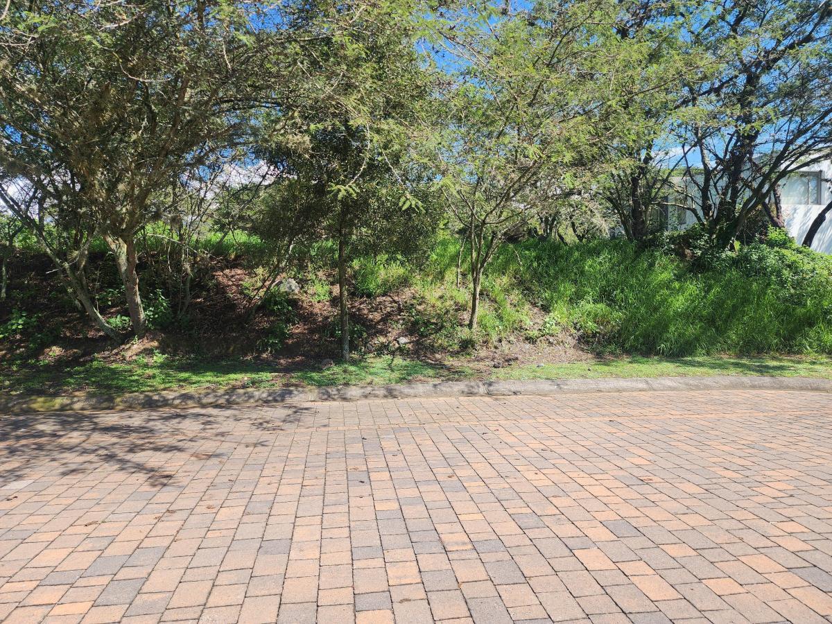 Vendo Bonito Terreno de 1000 m en Prados de La Viña Cumbaya — imagen 8