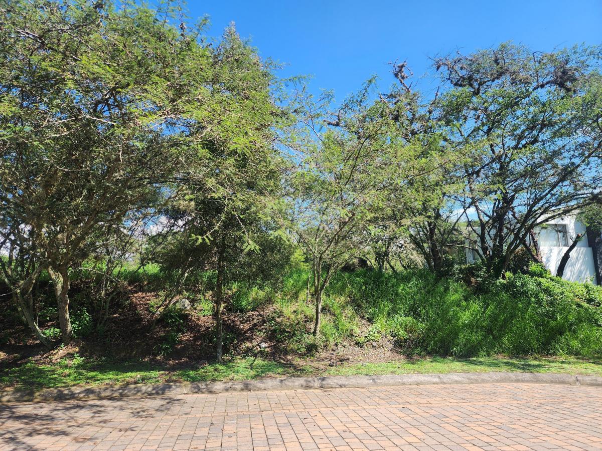 Vendo Bonito Terreno de 1000 m en Prados de La Viña Cumbaya — imagen 7
