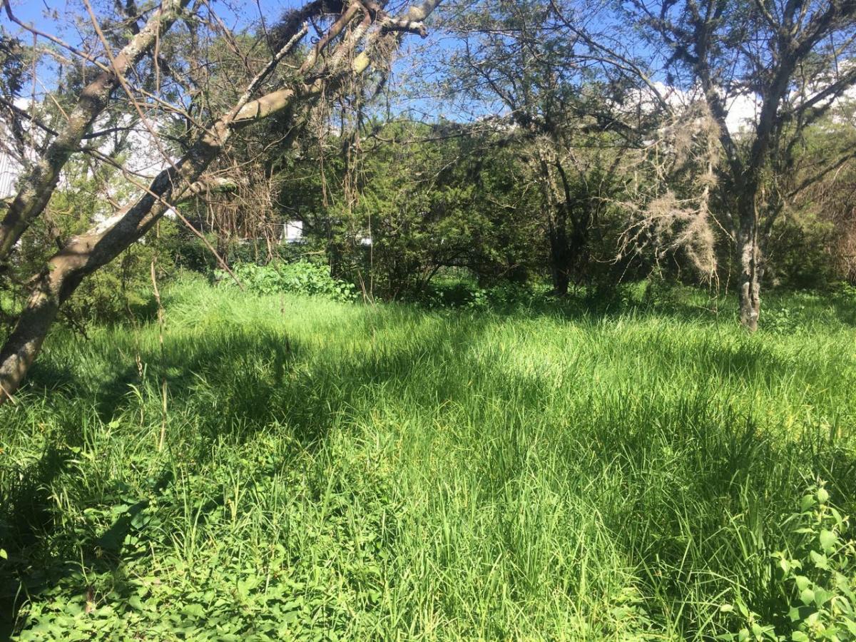 Vendo Bonito Terreno de 1000 m en Prados de La Viña Cumbaya — imagen 6