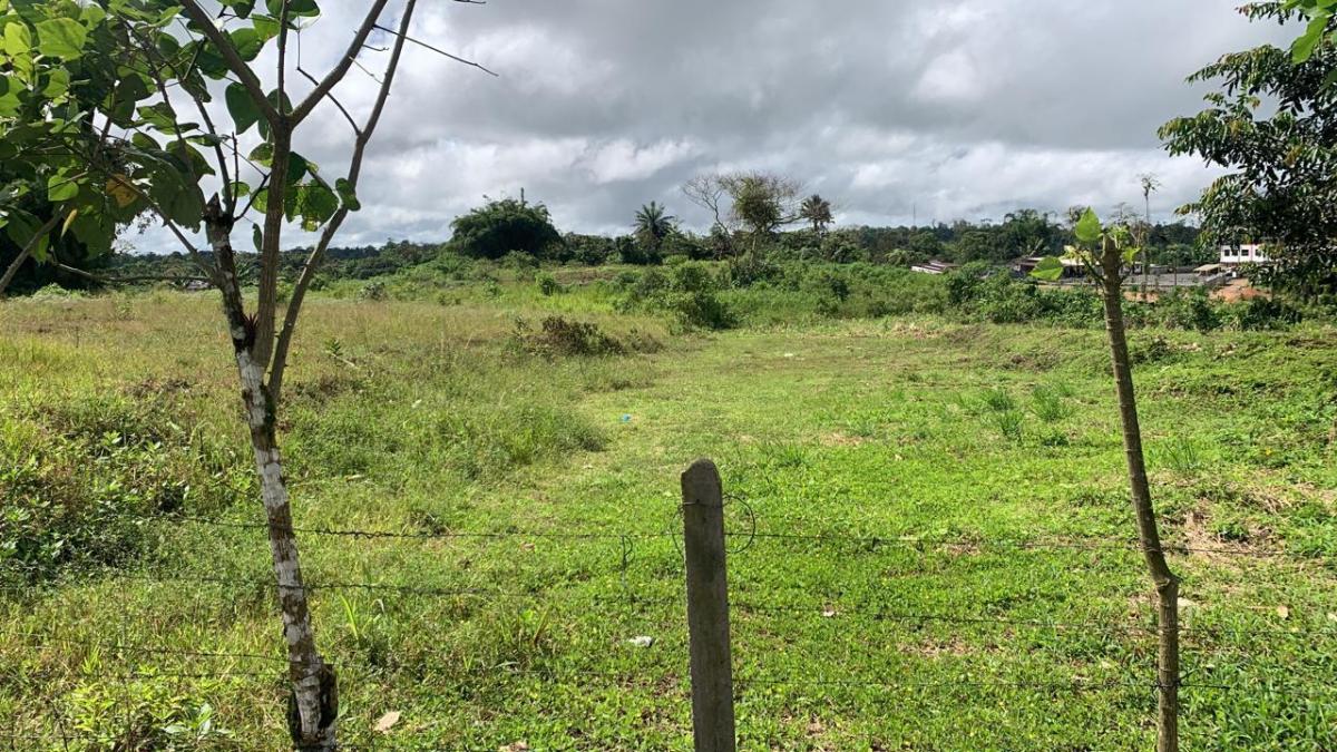 Vendo Terreno de 25.000 m en Pedro Vicente Maladonado — imagen 6
