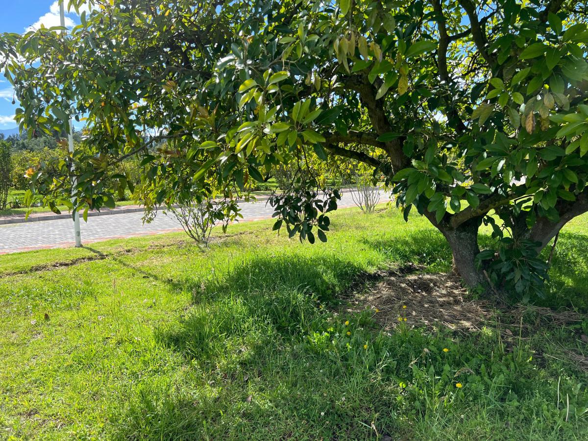 Puembo, Terreno de Venta Dentro de Urbanización El Chaupi — imagen 6