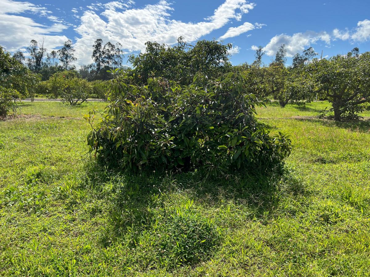Puembo, Terreno de Venta Dentro de Urbanización El Chaupi — imagen 2