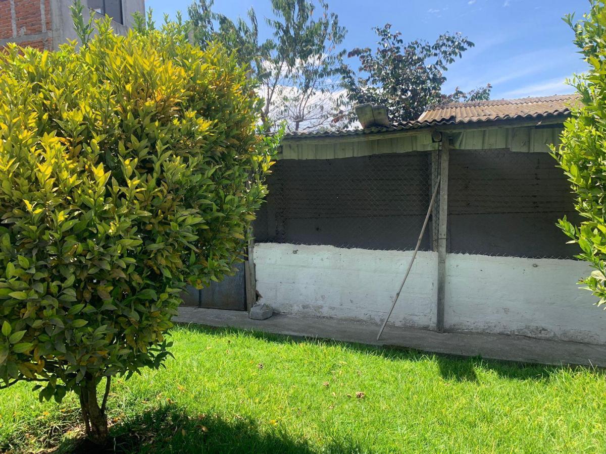 Venta Casa y Departamento con Terreno en Pifo 1800 m² — imagen 5