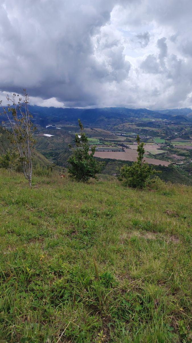 De Venta Finca de 7 Hectáreas en Chaltura, Imbabura — imagen 8