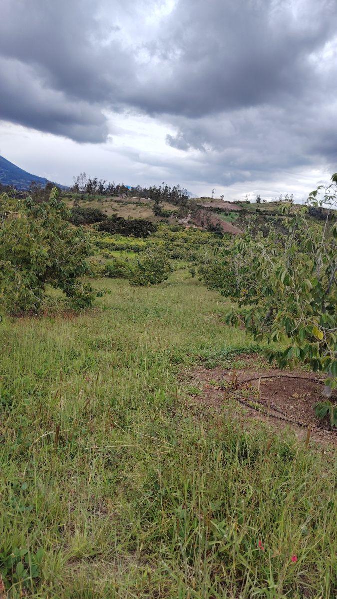 De Venta Finca de 7 Hectáreas en Chaltura, Imbabura — imagen 7
