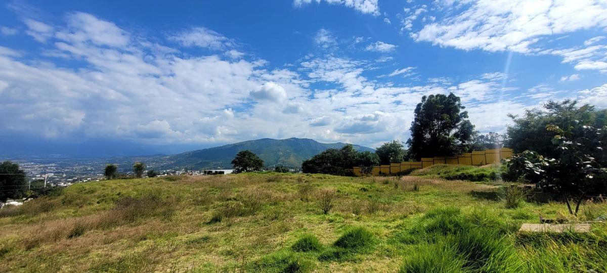 Terreno en Arriendo Para Distinto Tipo de Negocio — imagen 3