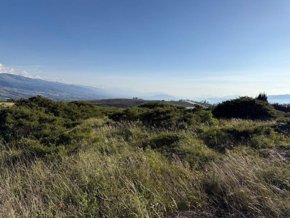 En Venta Terreno 5.200 m², Parroquia Tocachi — imagen 10