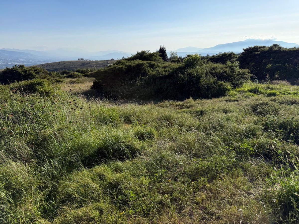 En Venta Terreno 5.200 m², Parroquia Tocachi — imagen 8