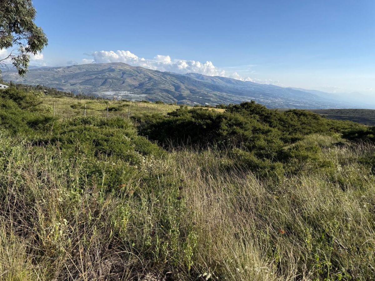 En Venta Terreno 5.200 m², Parroquia Tocachi — imagen 7