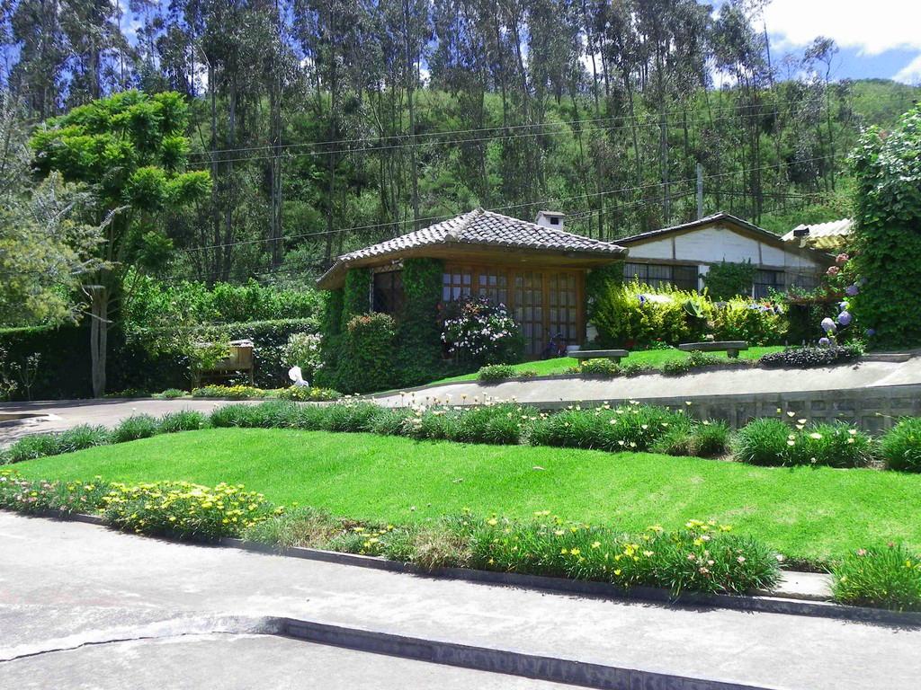 Terreno Para Proyecto de Venta en Pifo! — imagen 8