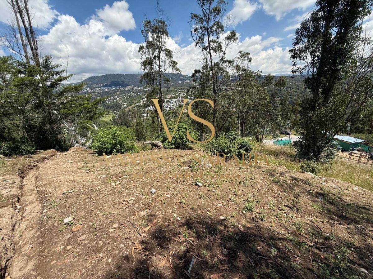 Vendo Terreno Dentro de Urb. Pillagua en Cumbaya, Quito - Ecuador — imagen 7