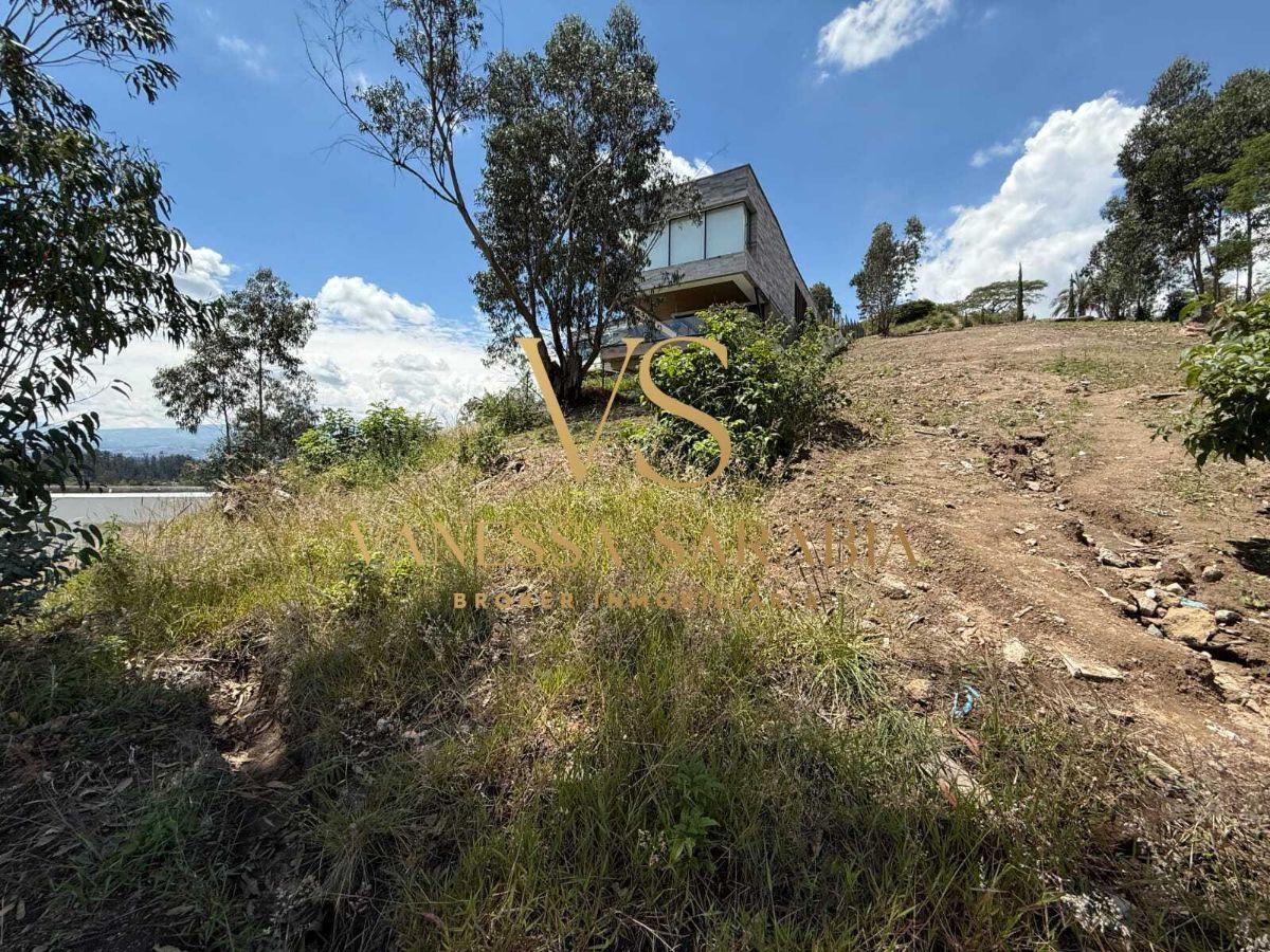 Vendo Terreno Dentro de Urb. Pillagua en Cumbaya, Quito - Ecuador — imagen 6