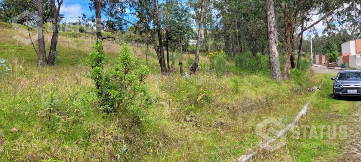 Venta de Terreno Sector La Macarena — imagen 10