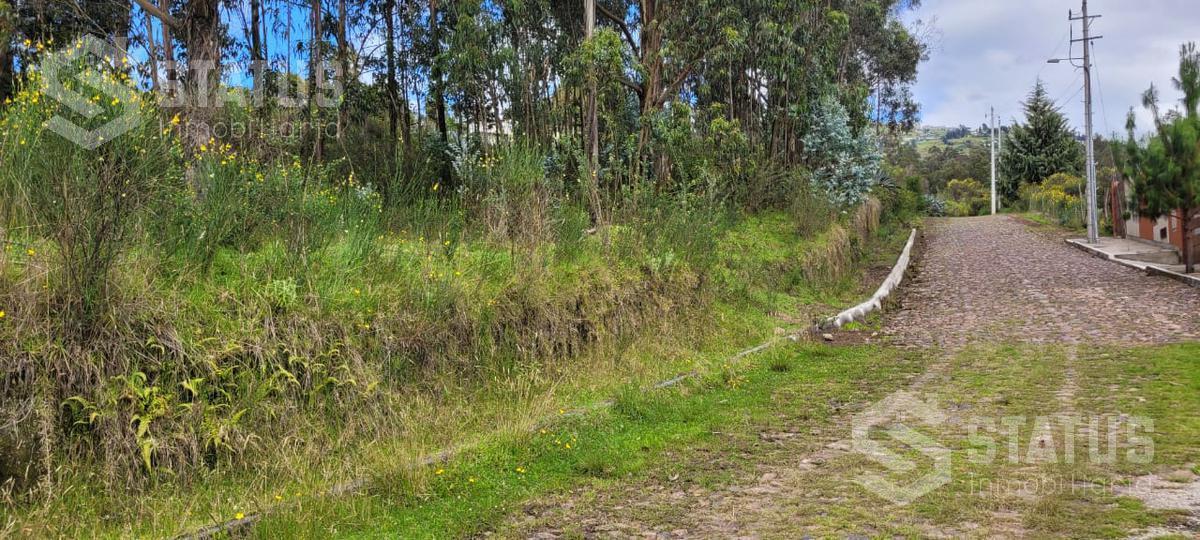 Venta de Terreno Sector La Macarena — imagen 9