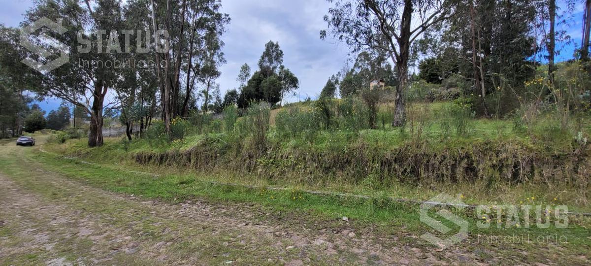 Venta de Terreno Sector La Macarena — imagen 8