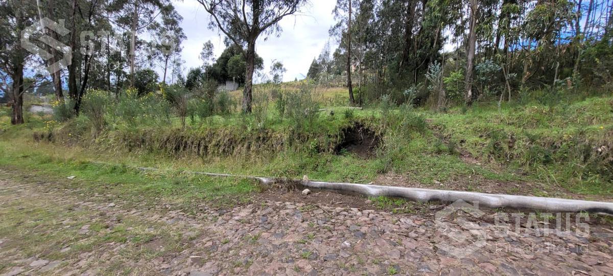Venta de Terreno Sector La Macarena — imagen 7