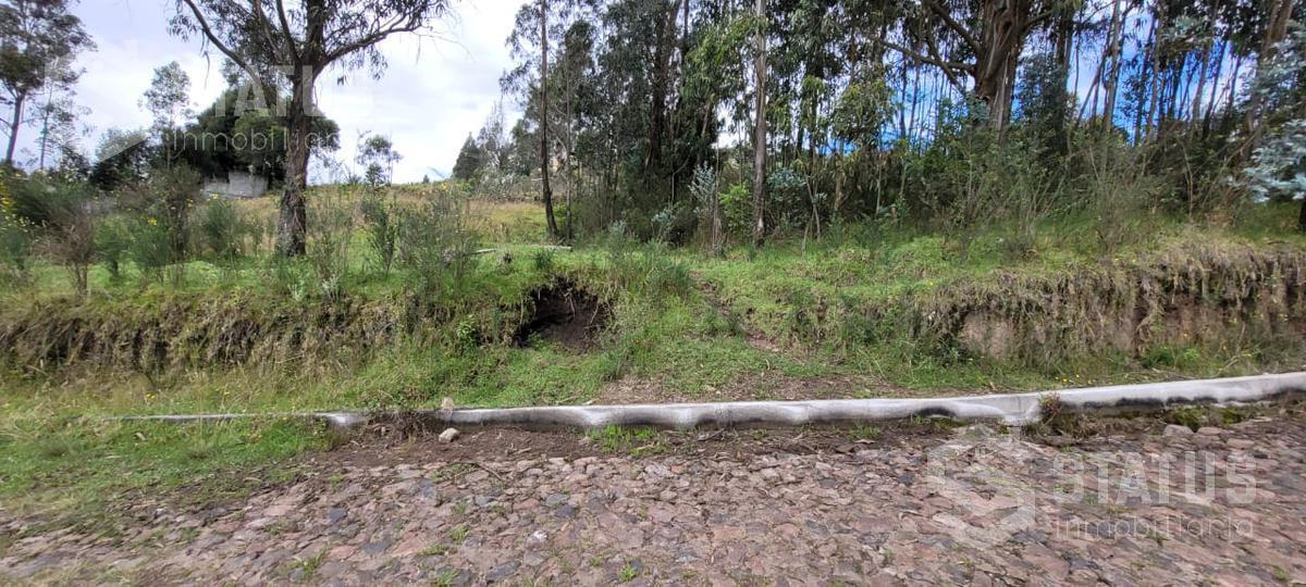 Venta de Terreno Sector La Macarena — imagen 6