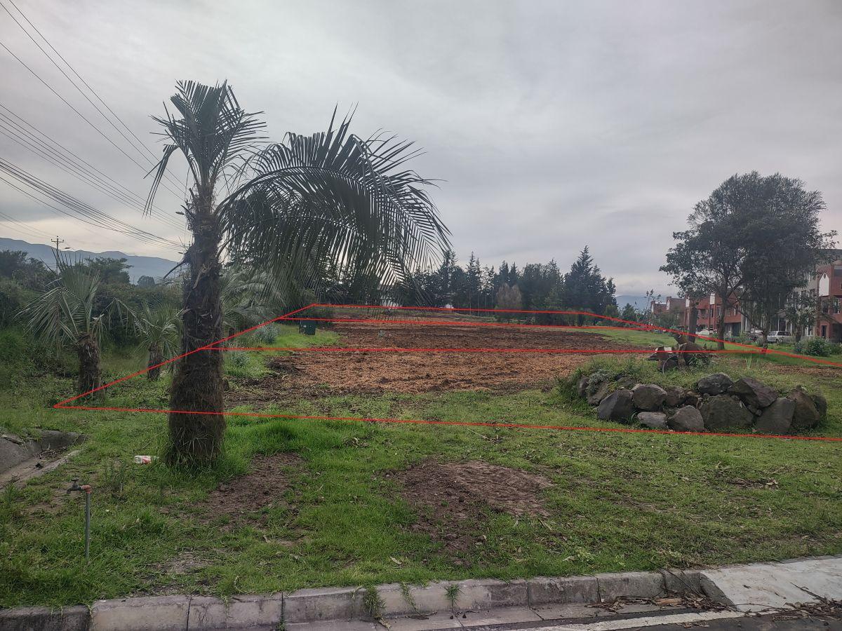 Rento 3 Lotes Comerciales de 2.500 m² c/u Sangolqui, Sector Colibri, con Frente a Av Gral Rumiñahui — imagen 10
