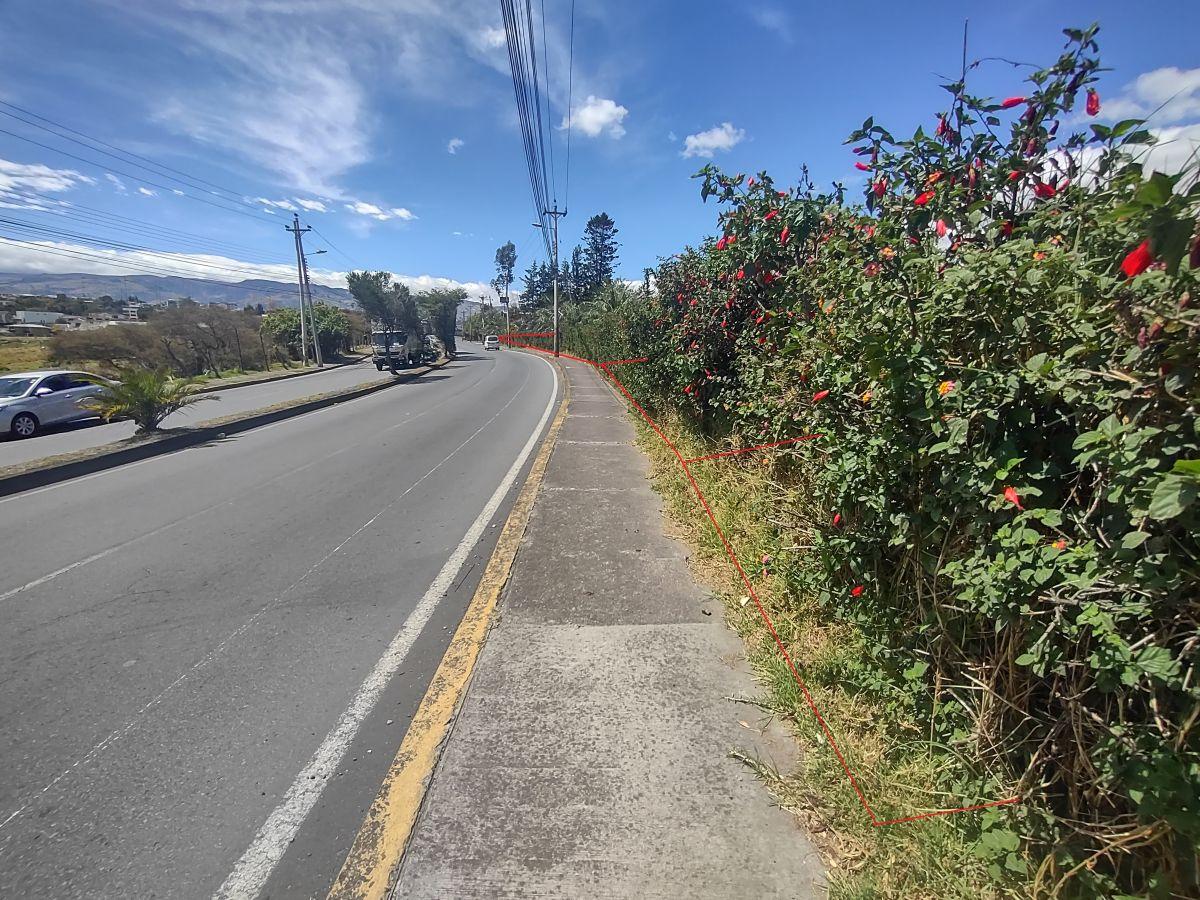 Rento 3 Lotes Comerciales de 2.500 m² c/u Sangolqui, Sector Colibri, con Frente a Av Gral Rumiñahui — imagen 9