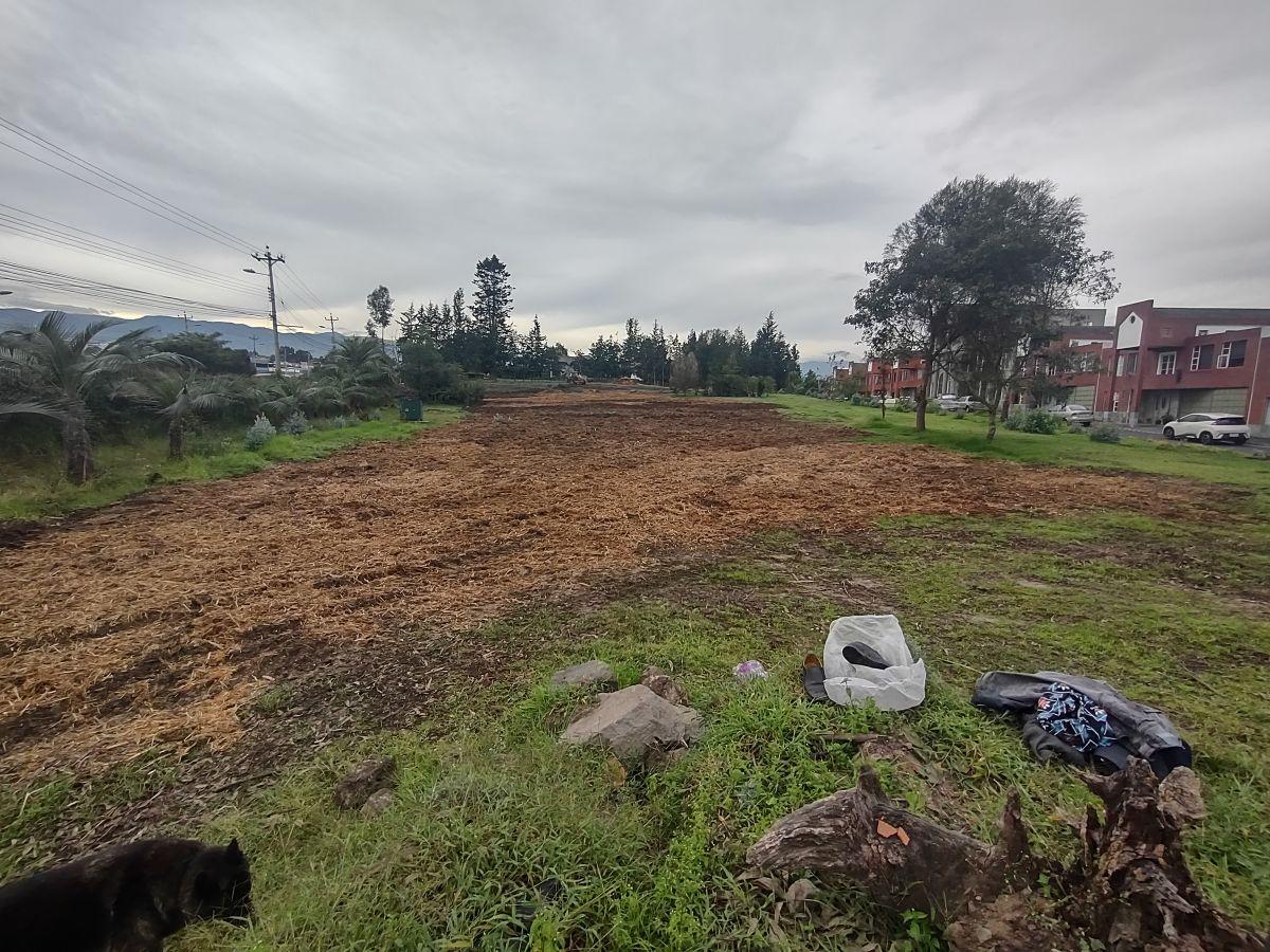 Rento 3 Lotes Comerciales de 2.500 m² c/u Sangolqui, Sector Colibri, con Frente a Av Gral Rumiñahui — imagen 8