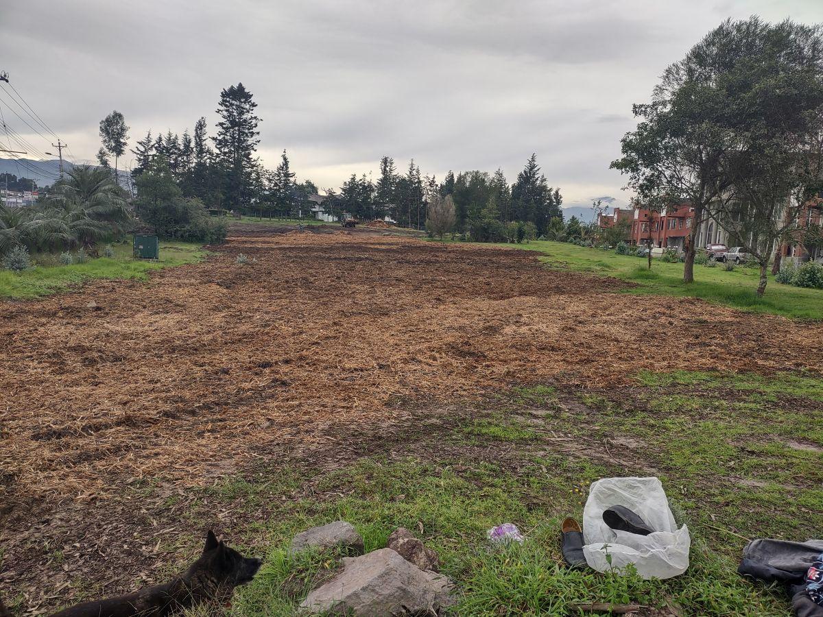Rento 3 Lotes Comerciales de 2.500 m² c/u Sangolqui, Sector Colibri, con Frente a Av Gral Rumiñahui — imagen 3