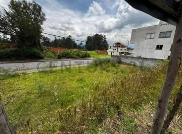 Renta de Terreno Esquinero en Sangolquí, Inchalillo — imagen 2