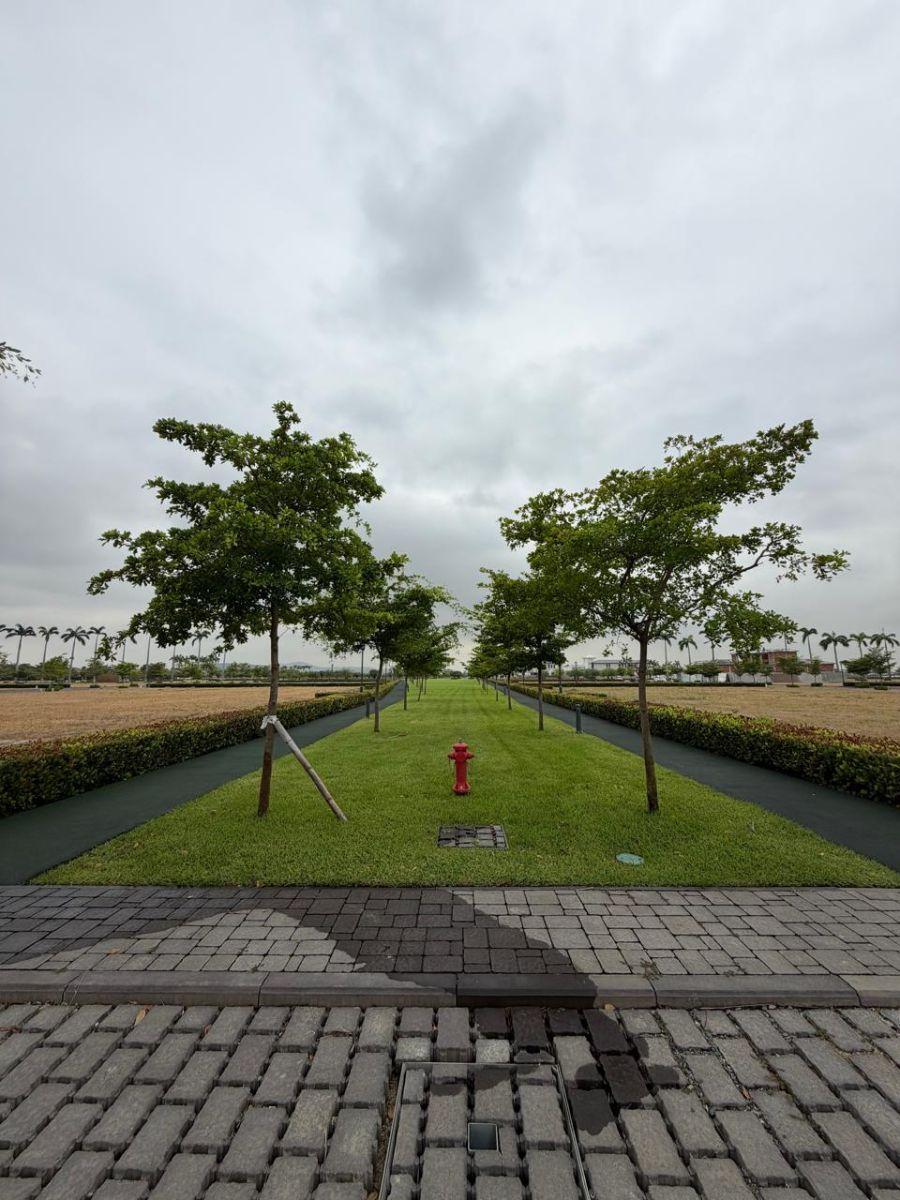 Samborondón Km 8 Urbanización Parques de Batan Terrenos Al Lago en Venta, Guayas — imagen 9