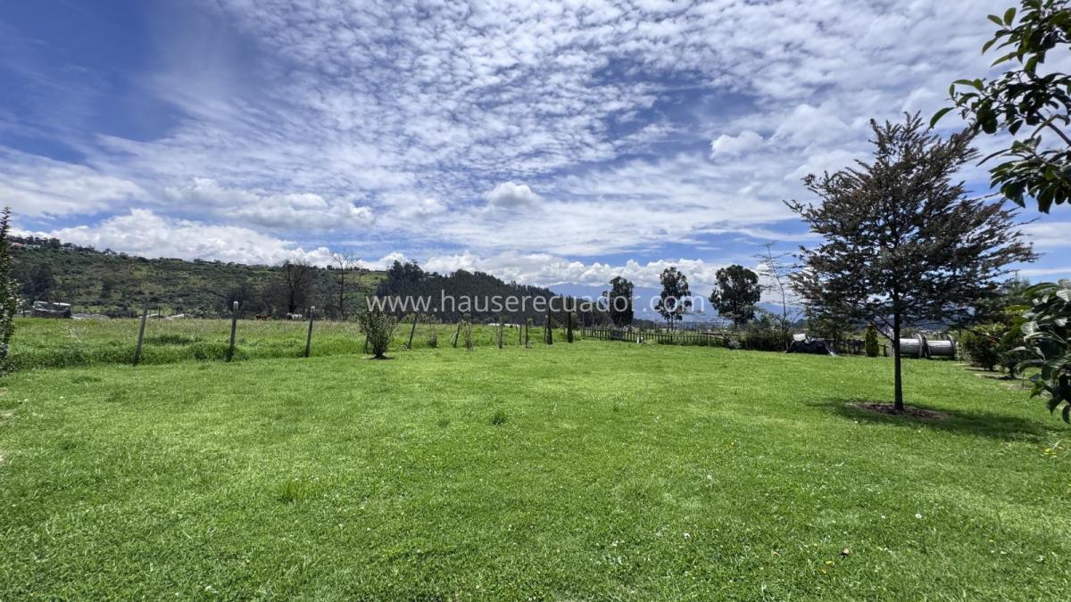 En Renta 10.000 Y/o 5.000 m² de Terreno con Cabaña | Vía Cascadas Condor Machay - Valle de Los Chillos — imagen 8