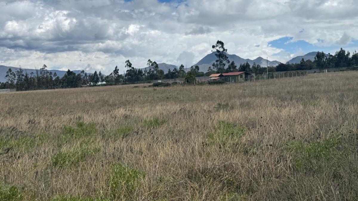 Terreno en Venta 56.000 m², en Malchinguí — imagen 10