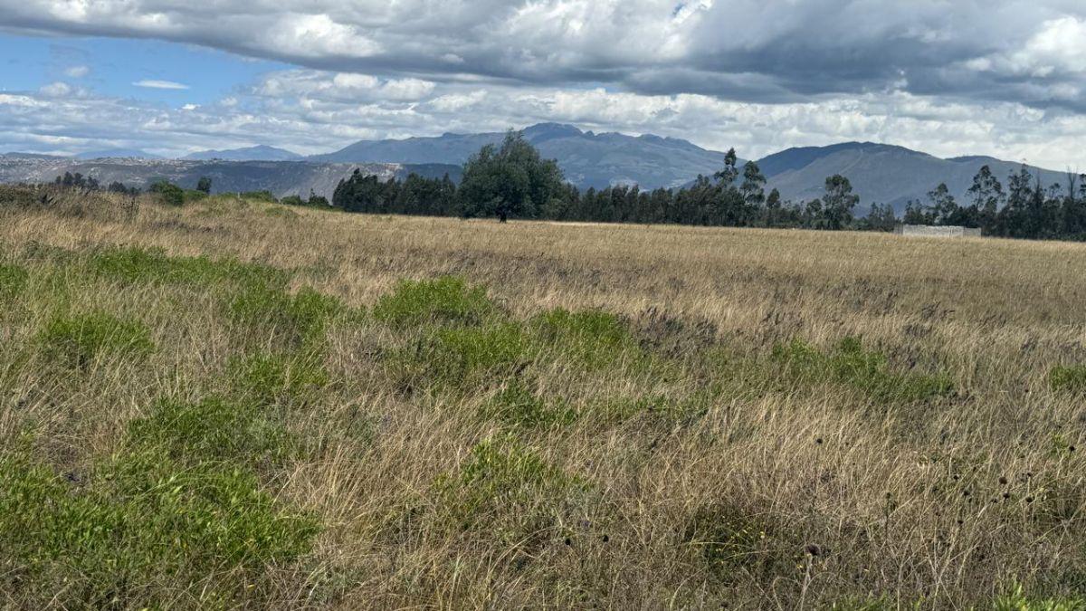 Terreno en Venta 56.000 m², en Malchinguí — imagen 9