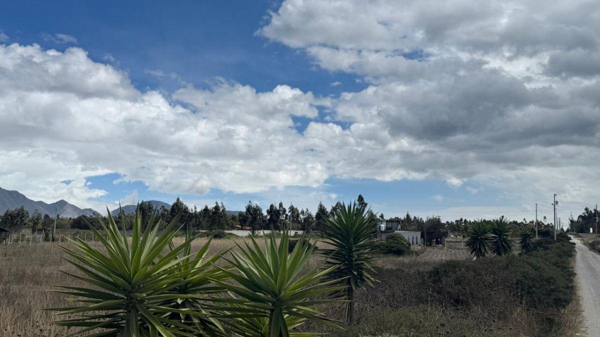 Terreno en Venta 56.000 m², en Malchinguí — imagen 8