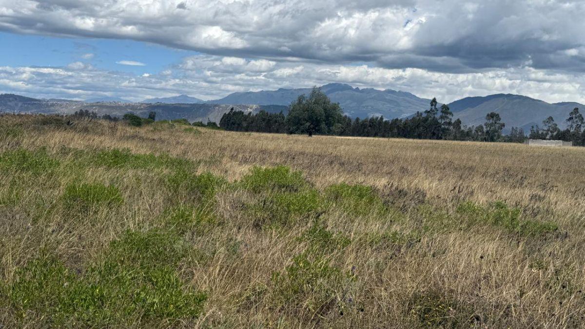 Terreno en Venta 56.000 m², en Malchinguí — imagen 7