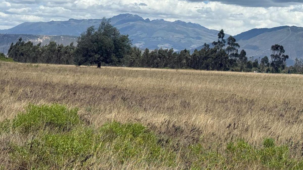 Terreno en Venta 56.000 m², en Malchinguí — imagen 6
