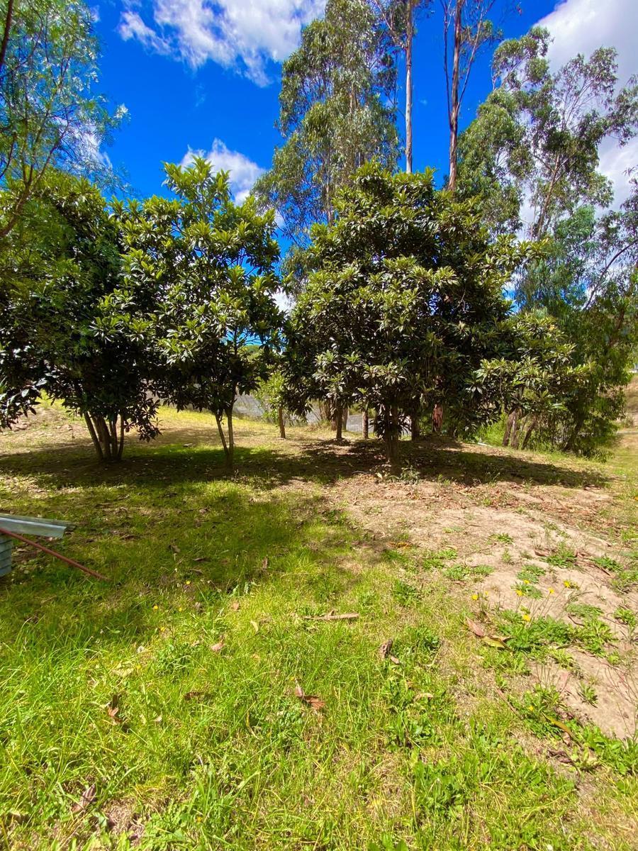 Terreno Bifamiliar en Tumbaco — imagen 7