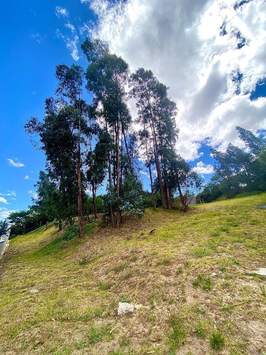 Terreno Bifamiliar en Tumbaco — imagen 2