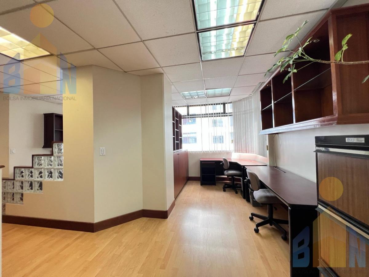 Oficina de Venta o Renta La Carolina — imagen 5