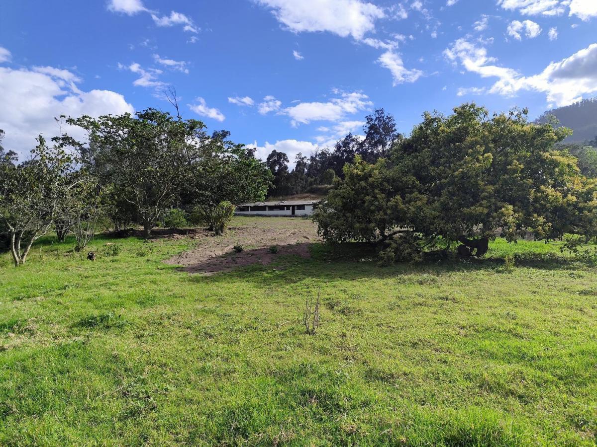 Terreno en Renta en San Francisco de Pinsha - Cumbayá 4000 m² Para Restaurante, Eventos o Turismo — imagen 5