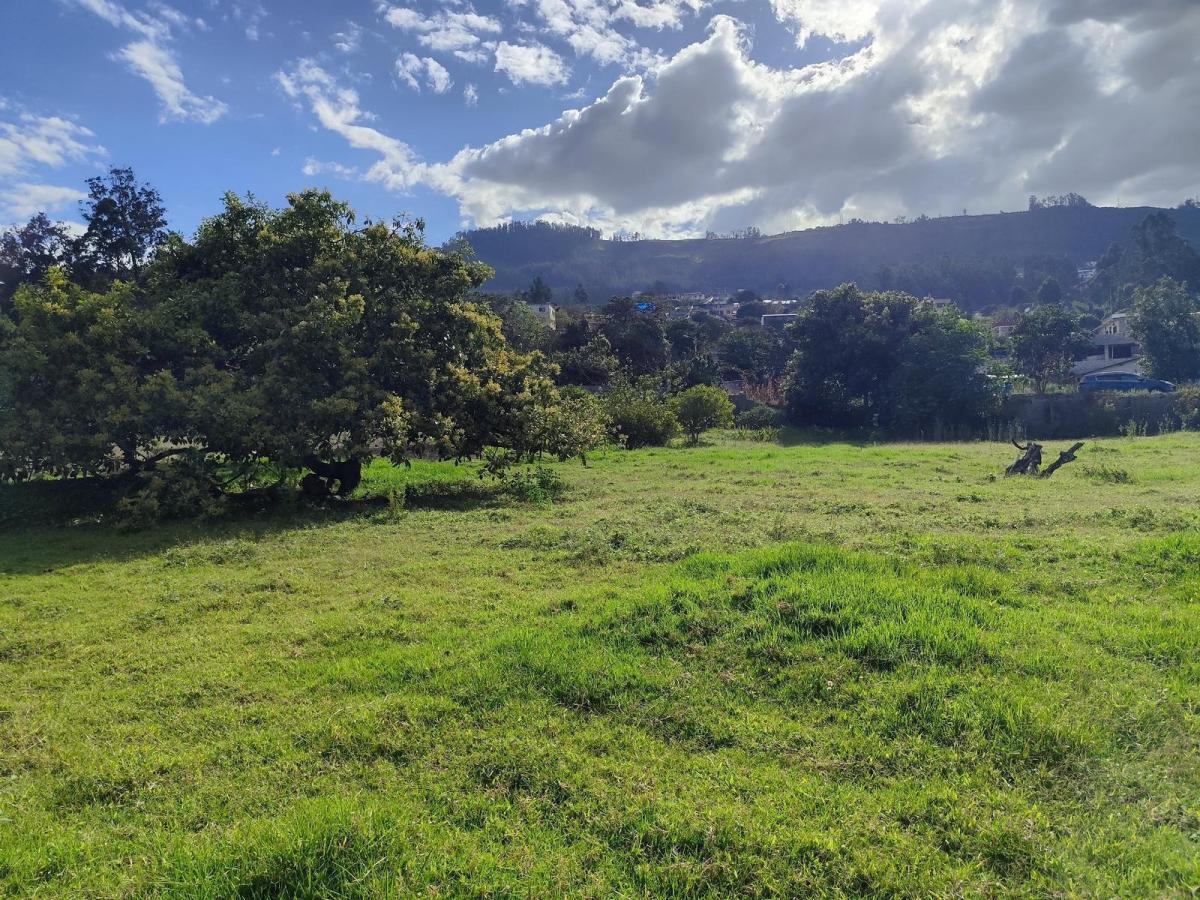 Terreno en Renta en San Francisco de Pinsha - Cumbayá 4000 m² Para Restaurante, Eventos o Turismo — imagen 3