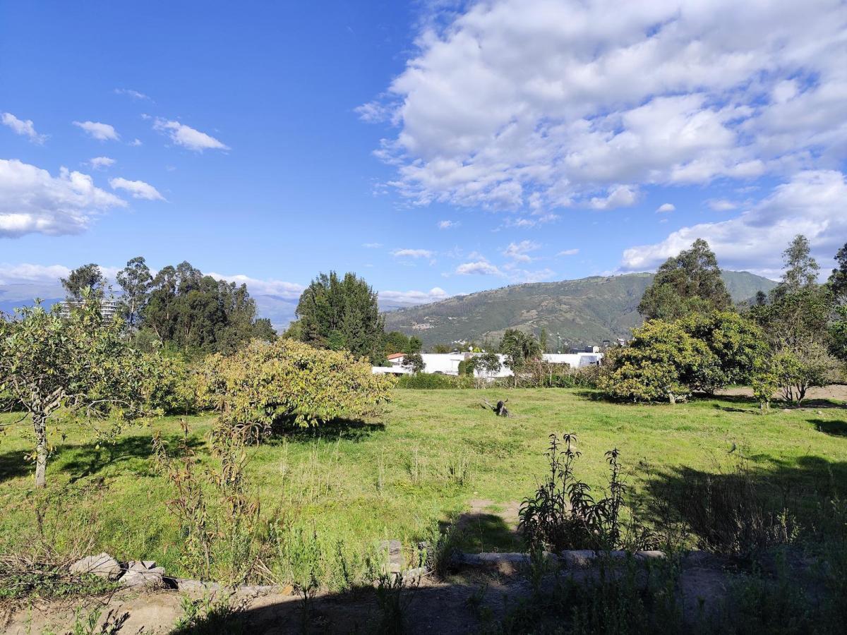 Terreno en Renta en San Francisco de Pinsha - Cumbayá 4000 m² Para Restaurante, Eventos o Turismo — imagen 2