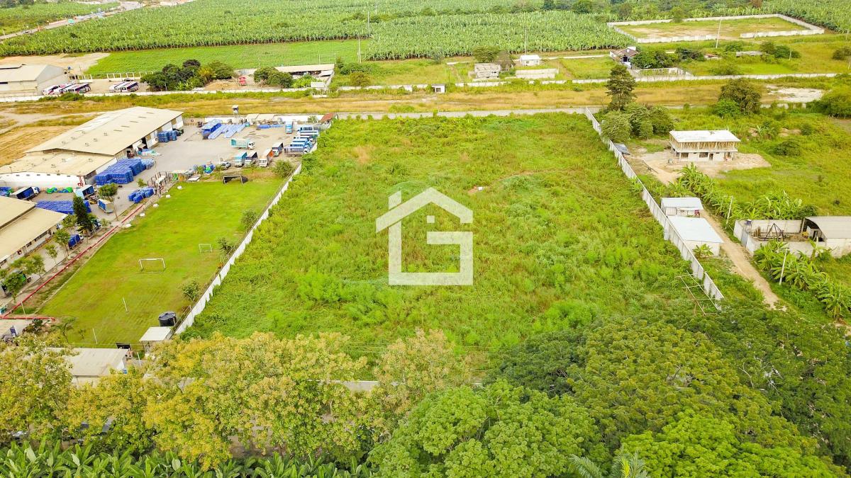 Terreno en Venta en La Entrada de Machala Para Desarrollo Inmobiliario, El Oro — imagen 9