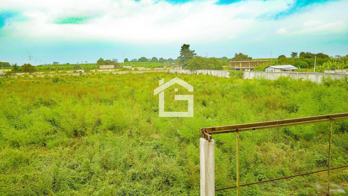 Terreno en Venta en La Entrada de Machala Para Desarrollo Inmobiliario, El Oro — imagen 6