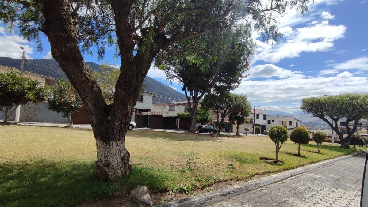 Venta Casa Amplia - Sector Pusuquí — imagen 9