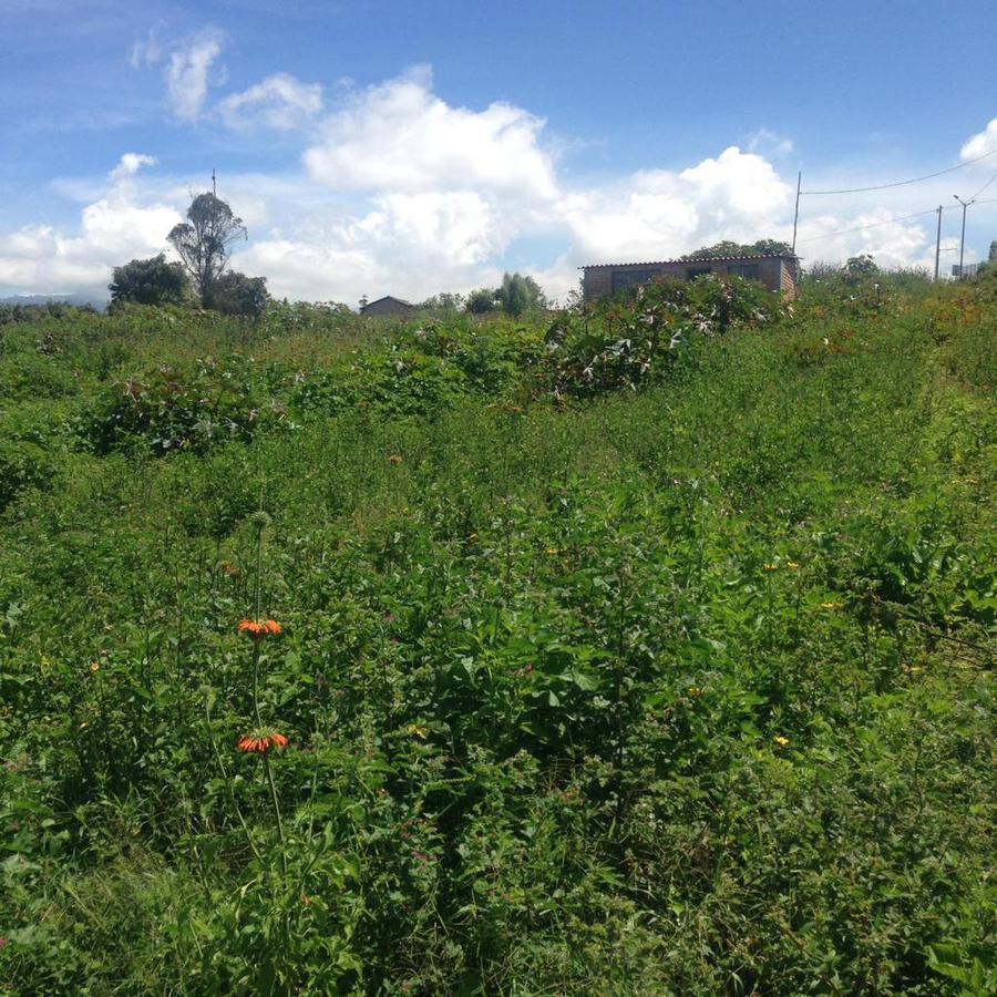 Renta Terreno Excelente Ubicación, Sector San Antonio de Ibarra, Imbabura — imagen 6