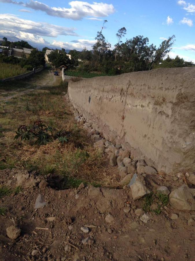 Renta Terreno Excelente Ubicación, Sector San Antonio de Ibarra, Imbabura — imagen 5