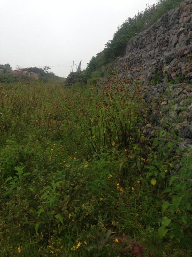 Renta Terreno Excelente Ubicación, Sector San Antonio de Ibarra, Imbabura — imagen 4