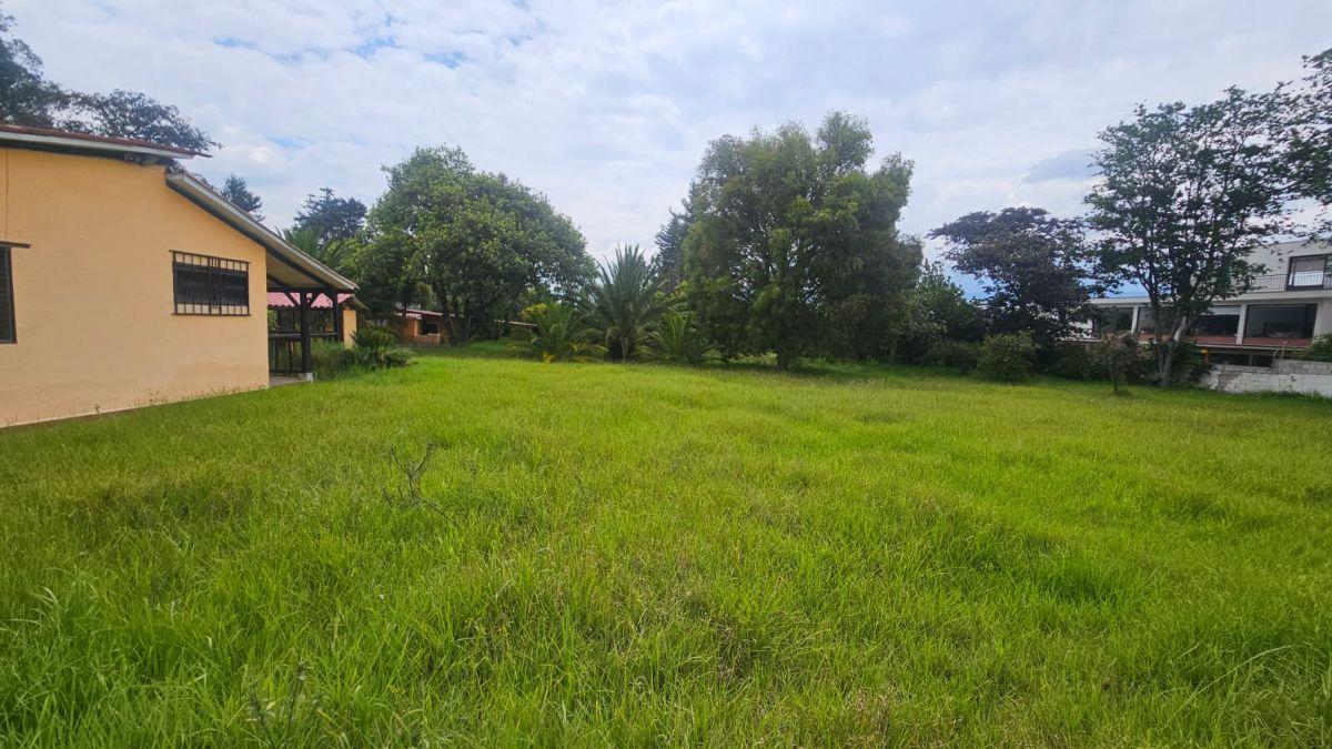 Propiedad en Arriendo Sector Hilacril Tumbaco — imagen 8